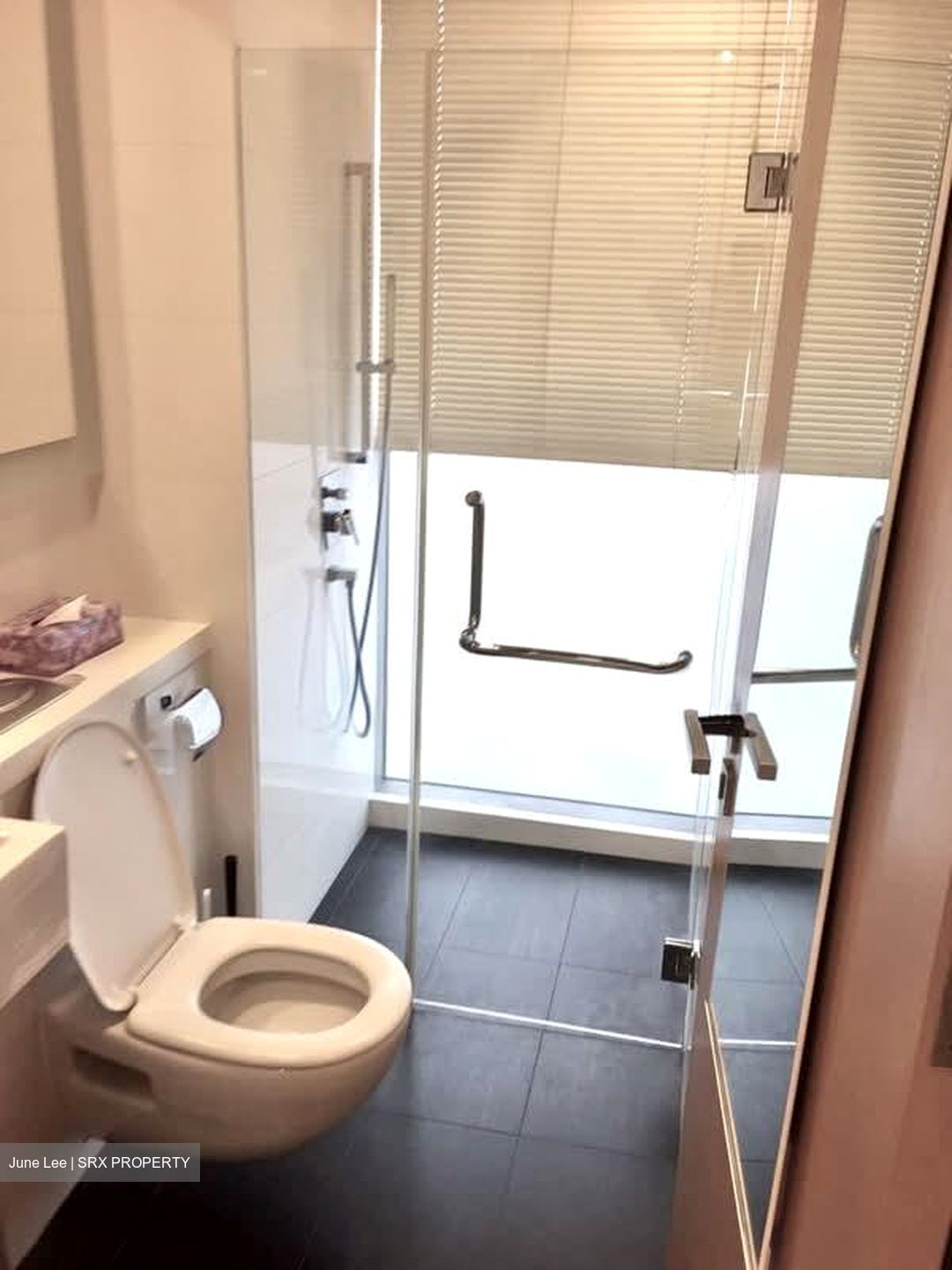 Lumiere (D2), Apartment #593753801